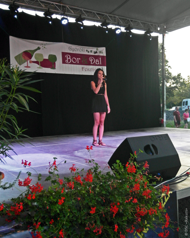 interfest 2014 - gala concert in Balatongyorok