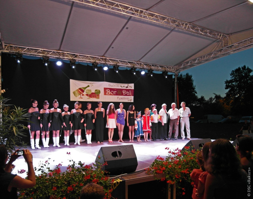 interfest 2014 - gala concert in Balatongyorok